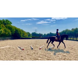 Trot-Blox